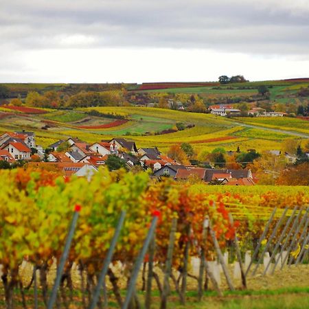 Pinterest Auf Dem Dorf - Ferienwohnung Rummelsheim Экстерьер фото